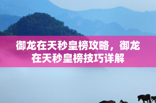 御龙在天秒皇榜攻略，御龙在天秒皇榜技巧详解