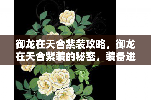 御龙在天合紫装攻略，御龙在天合紫装的秘密，装备进阶攻略