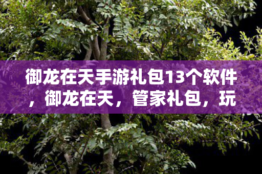 御龙在天手游礼包13个软件,御龙在天,管家礼包,玩家的福音来了! 御龙在天手游礼包13个软件,御龙在天,管家礼包,玩家的福音来了!