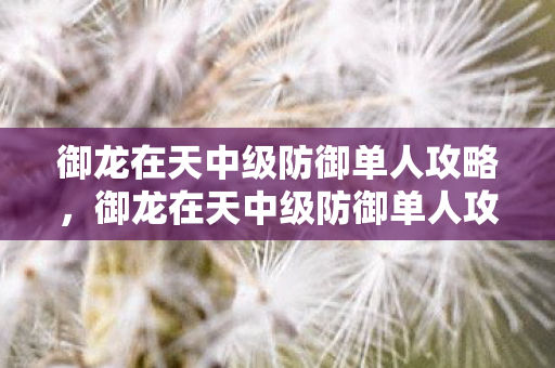 御龙在天中级防御单人攻略，御龙在天中级防御单人攻略