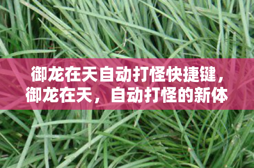 御龙在天自动打怪快捷键，御龙在天，自动打怪的新体验