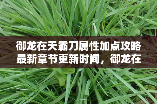 御龙在天霸刀属性加点攻略最新章节更新时间，御龙在天霸刀属性加点攻略