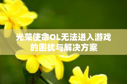 光荣使命OL无法进入游戏的困扰与解决方案 光荣使命OL无法进入游戏的困扰与解决方案