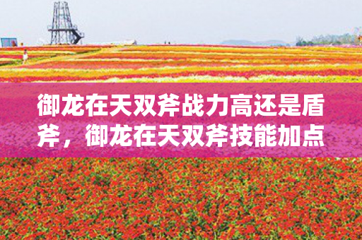 御龙在天双斧战力高还是盾斧，御龙在天双斧技能加点攻略