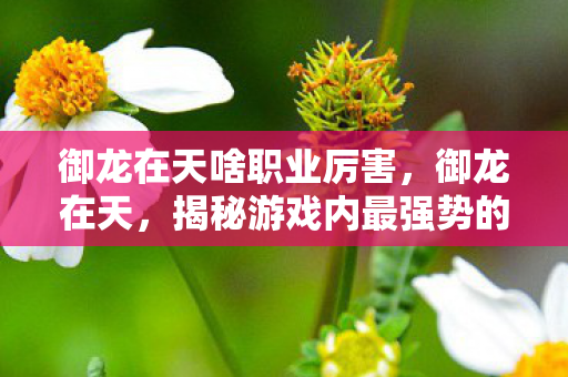 御龙在天啥职业厉害，御龙在天，揭秘游戏内最强势的职业