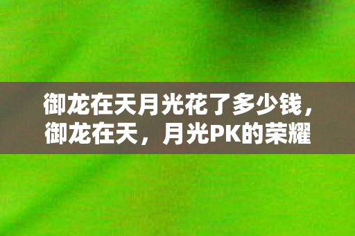 御龙在天月光花了多少钱，御龙在天，月光PK的荣耀时刻