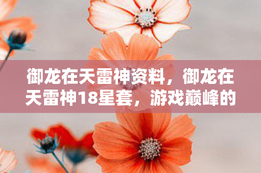 御龙在天雷神资料，御龙在天雷神18星套，游戏巅峰的装备荣耀