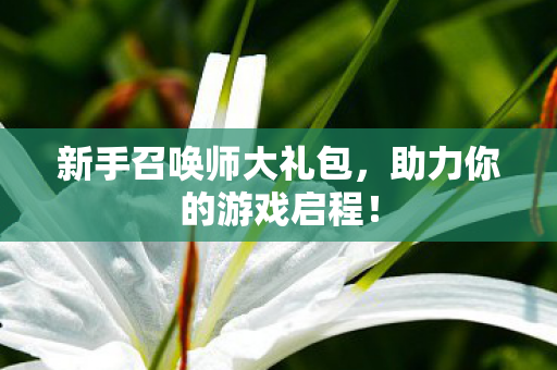 新手召唤师大礼包，助力你的游戏启程！