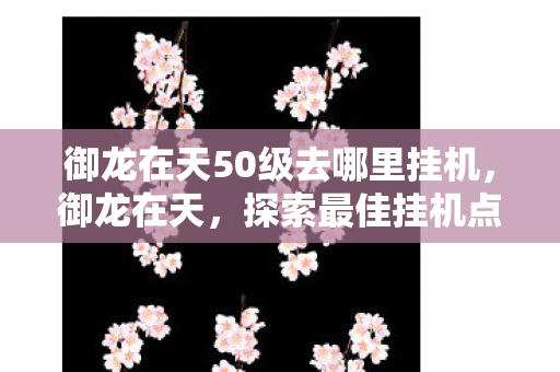 御龙在天50级去哪里挂机，御龙在天，探索最佳挂机点，轻松升级至50级