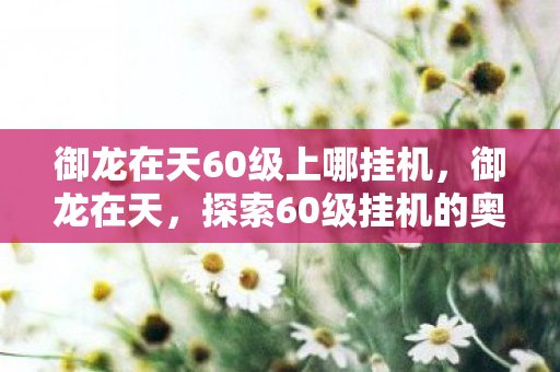 御龙在天60级上哪挂机,御龙在天,探索60级挂机的奥秘 御龙在天60级上哪挂机,御龙在天,探索60级挂机的奥秘