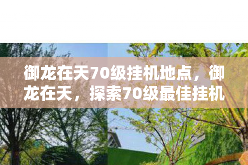 御龙在天70级挂机地点，御龙在天，探索70级最佳挂机点