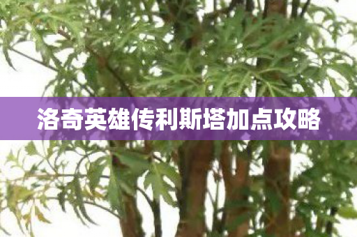 洛奇英雄传利斯塔加点攻略