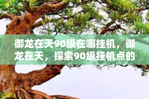 御龙在天90级在哪挂机，御龙在天，探索90级挂机点的秘密