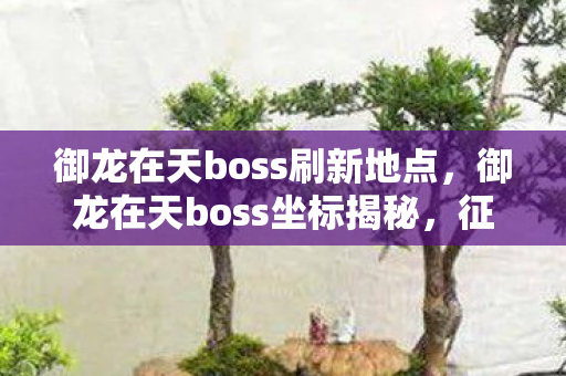 御龙在天boss刷新地点,御龙在天boss坐标揭秘,征服游戏世界的终极挑战 御龙在天boss刷新地点,御龙在天boss坐标揭秘,征服游戏世界的终极挑战