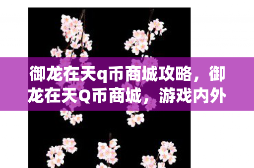 御龙在天q币商城攻略，御龙在天Q币商城，游戏内外的货币桥梁