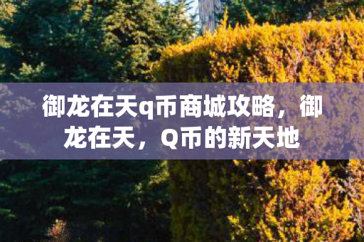 御龙在天q币商城攻略,御龙在天,Q币的新天地 御龙在天q币商城攻略,御龙在天,Q币的新天地