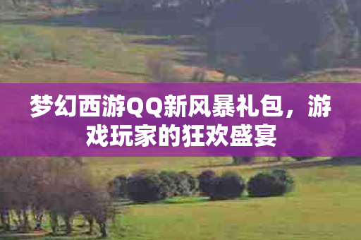 梦幻西游QQ新风暴礼包，游戏玩家的狂欢盛宴