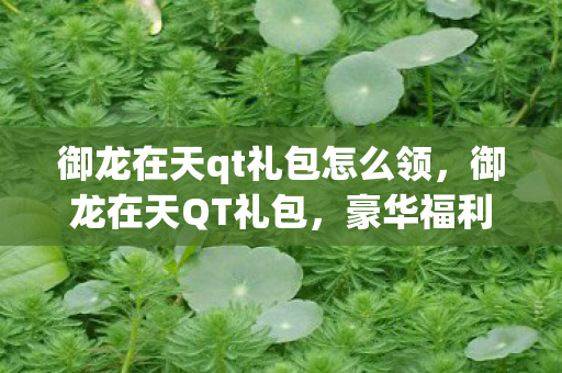 御龙在天qt礼包怎么领,御龙在天QT礼包,豪华福利等你来领! 御龙在天qt礼包怎么领,御龙在天QT礼包,豪华福利等你来领!