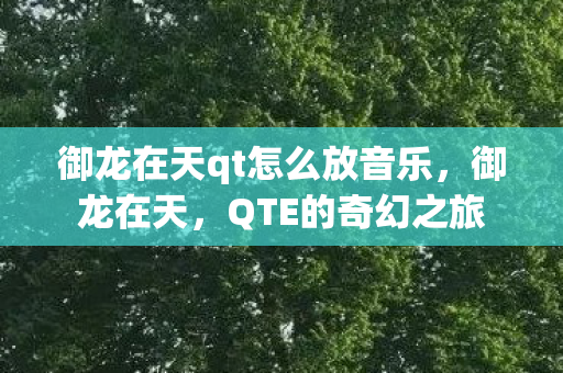 御龙在天qt怎么放音乐，御龙在天，QTE的奇幻之旅