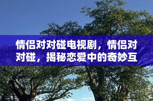 情侣对对碰电视剧，情侣对对碰，揭秘恋爱中的奇妙互动与深度交流