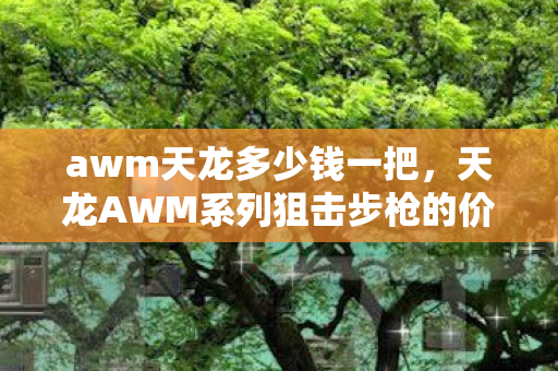 awm天龙多少钱一把，天龙AWM系列狙击步枪的价格及其背后的故事