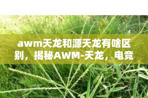 awm天龙和源天龙有啥区别，揭秘AWM-天龙，电竞神器背后的故事