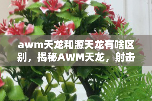 awm天龙和源天龙有啥区别，揭秘AWM天龙，射击游戏界的传奇之作