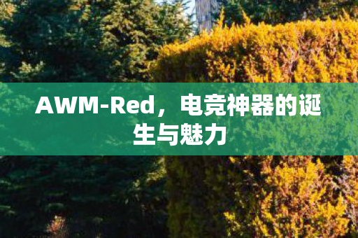 AWM-Red，电竞神器的诞生与魅力