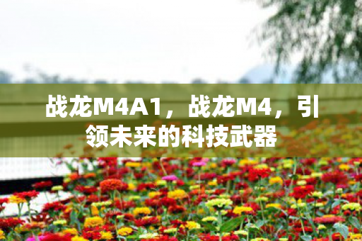 战龙M4A1,战龙M4,引领未来的科技武器 战龙M4A1,战龙M4,引领未来的科技武器