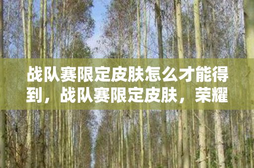 战队赛限定皮肤怎么才能得到，战队赛限定皮肤，荣耀的象征与玩家的追求