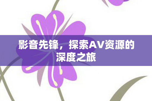 影音先锋，探索AV资源的深度之旅