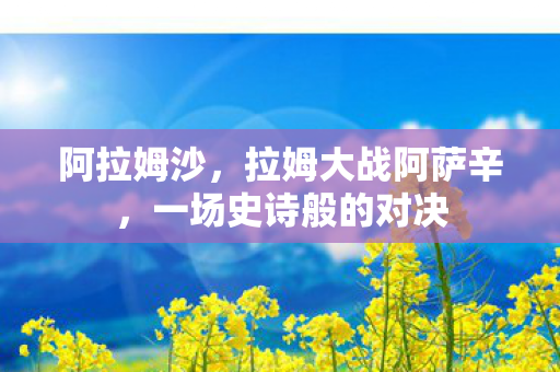 阿拉姆沙，拉姆大战阿萨辛，一场史诗般的对决