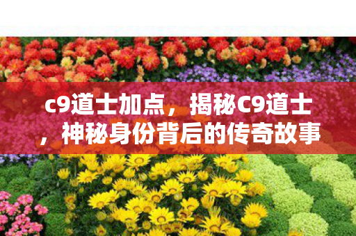 c9道士加点，揭秘C9道士，神秘身份背后的传奇故事