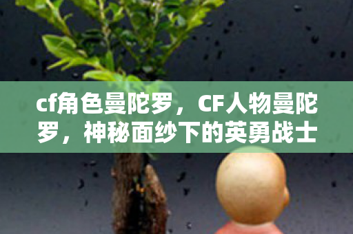 cf角色曼陀罗，CF人物曼陀罗，神秘面纱下的英勇战士