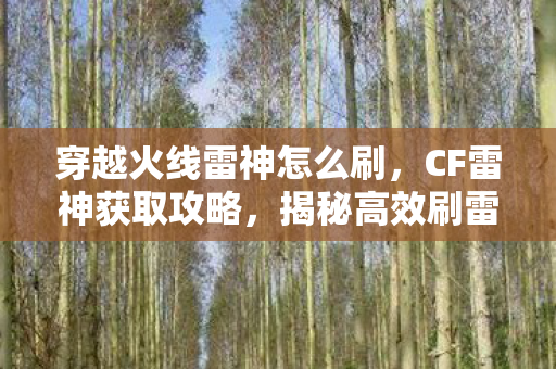 穿越火线雷神怎么刷，CF雷神获取攻略，揭秘高效刷雷神的技巧与策略
