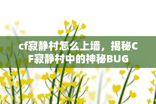 cf寂静村怎么上墙，揭秘CF寂静村中的神秘BUG