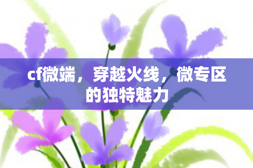 cf微端,穿越火线,微专区的独特魅力 cf微端,穿越火线,微专区的独特魅力