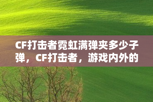 CF打击者霓虹满弹夹多少子弹,CF打击者,游戏内外的挑战与应对 CF打击者霓虹满弹夹多少子弹,CF打击者,游戏内外的挑战与应对
