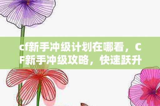 cf新手冲级计划在哪看,CF新手冲级攻略,快速跃升等级之巅 cf新手冲级计划在哪看,CF新手冲级攻略,快速跃升等级之巅