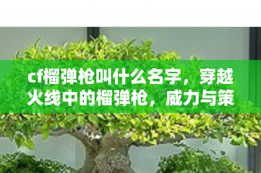 cf榴弹枪叫什么名字，穿越火线中的榴弹枪，威力与策略