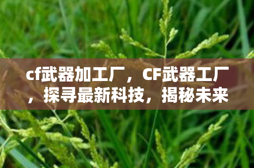 cf武器加工厂，CF武器工厂，探寻最新科技，揭秘未来战场利器