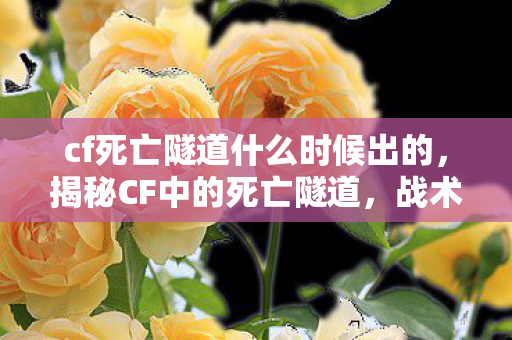 cf死亡隧道什么时候出的,揭秘CF中的死亡隧道,战术、技巧与心理战 cf死亡隧道什么时候出的,揭秘CF中的死亡隧道,战术、技巧与心理战