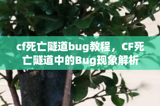 cf死亡隧道bug教程,CF死亡隧道中的Bug现象解析 cf死亡隧道bug教程,CF死亡隧道中的Bug现象解析