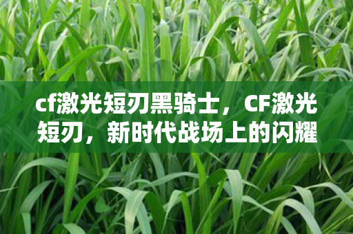 cf激光短刃黑骑士，CF激光短刃，新时代战场上的闪耀新星