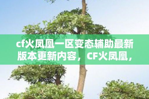 cf火凤凰一区变态辅助最新版本更新内容，CF火凤凰，穿越火线的新传奇