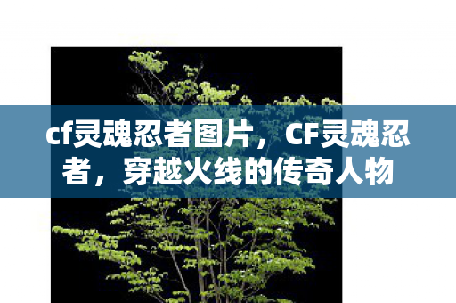 cf灵魂忍者图片,CF灵魂忍者,穿越火线的传奇人物 cf灵魂忍者图片,CF灵魂忍者,穿越火线的传奇人物