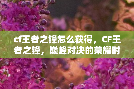 cf王者之锋怎么获得,CF王者之锋,巅峰对决的荣耀时刻 cf王者之锋怎么获得,CF王者之锋,巅峰对决的荣耀时刻