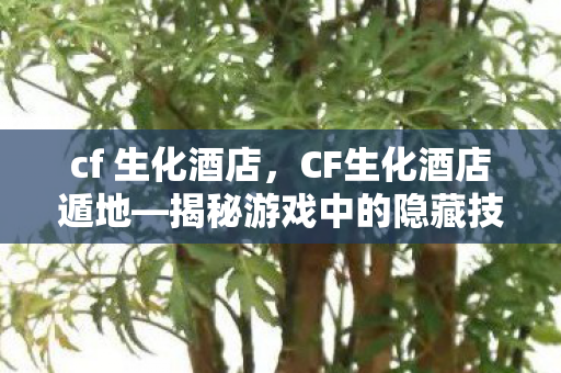 cf 生化酒店,CF生化酒店遁地—揭秘游戏中的隐藏技巧与战术策略 cf 生化酒店,CF生化酒店遁地—揭秘游戏中的隐藏技巧与战术策略