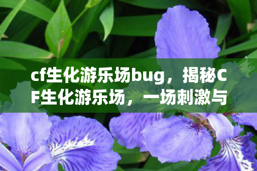 cf生化游乐场bug，揭秘CF生化游乐场，一场刺激与生存的狂欢盛宴