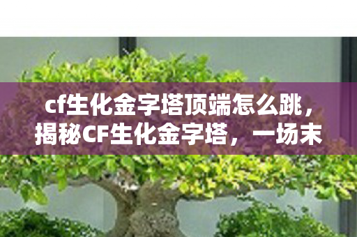 cf生化金字塔顶端怎么跳，揭秘CF生化金字塔，一场末日生存的考验与挑战